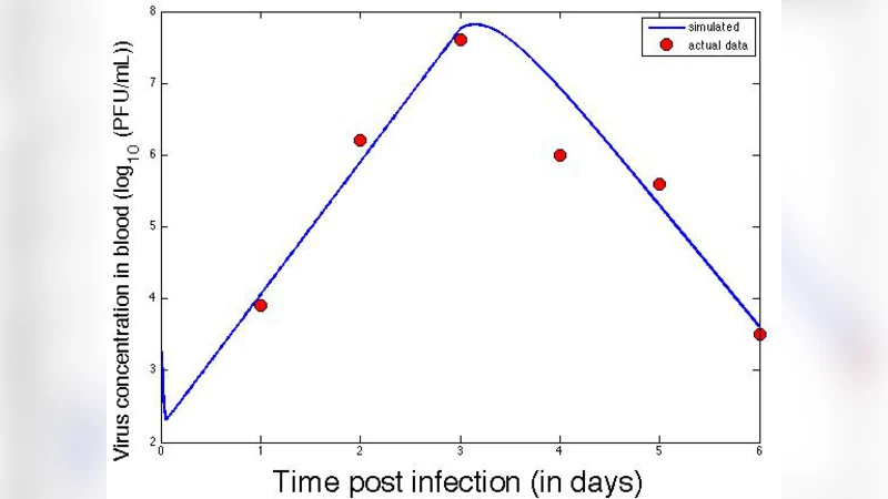 면역 시스템 반응 속도의 규모 불변성: 구조와 인공 면역 시스템에의 시사점