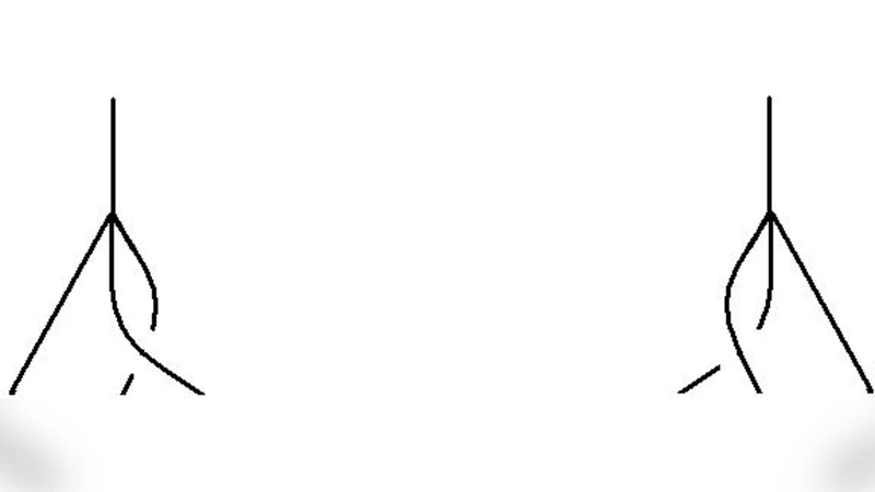 양자 범주와 모듈: 프로퍼듀서의 고차원 일반화