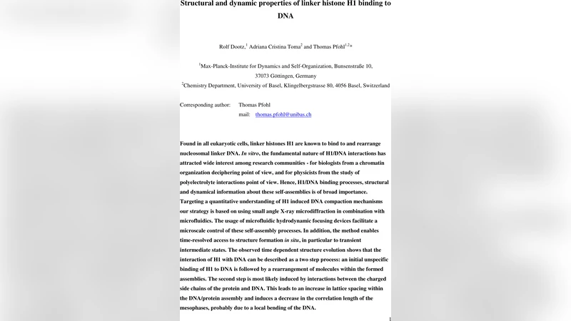 링커 히스톤 H1과 DNA 결합의 구조와 동역학적 특성