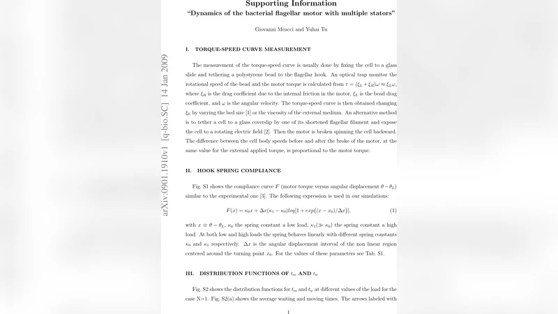 다중 스타터를 가진 박테리아 편모 모터의 동역학