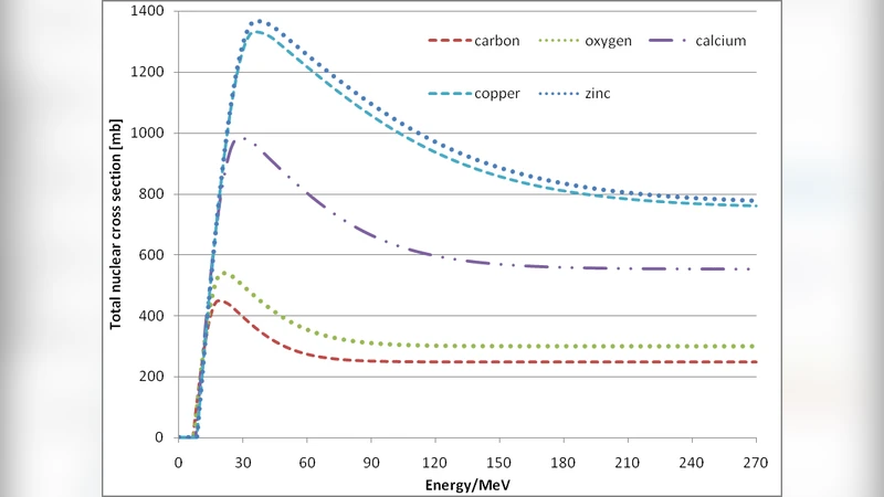 프로톤 빔렛 모델을 활용한 정밀 선량 계산 기반