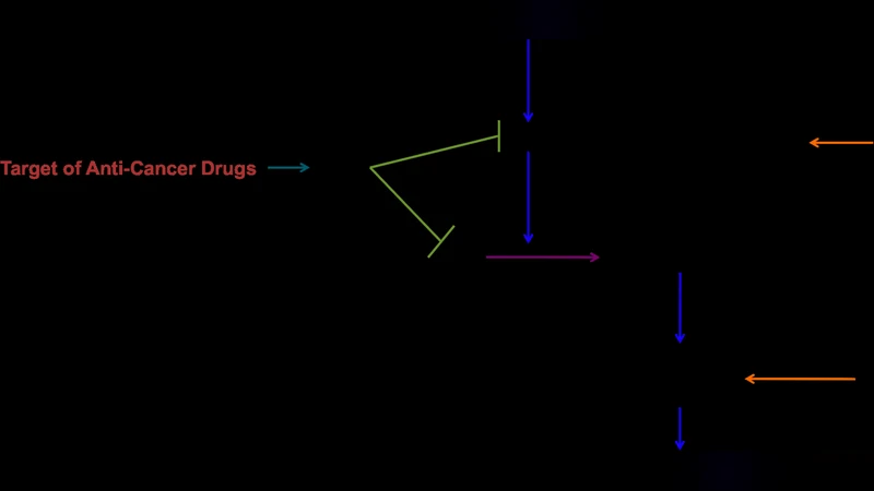 암세포를 죽이는 방법 컴퓨팅 모델이 밝힌 세포자멸사 인사이트