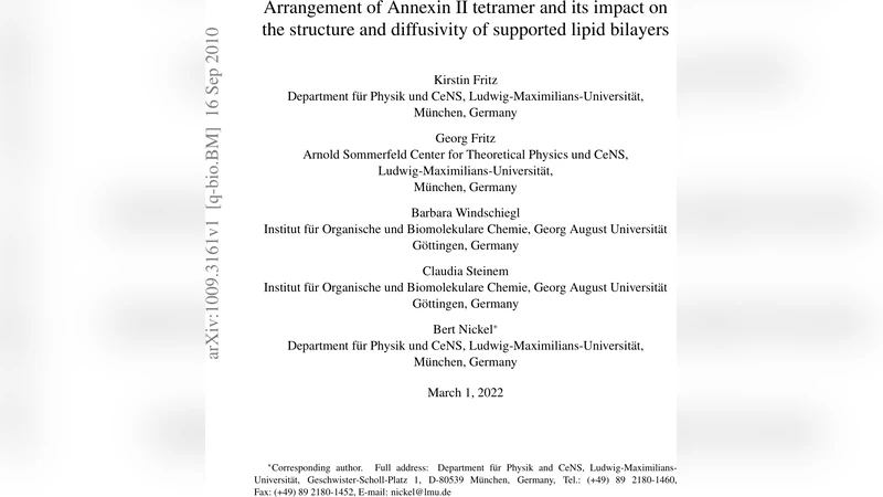 Annexin A2 테트라머의 결합 형태와 지지형 지질 이중층 구조 및 확산성 변화