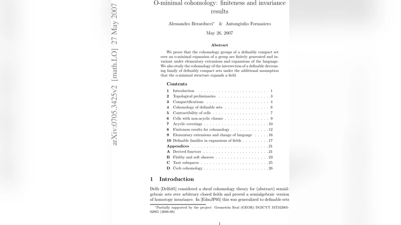 오미니멀 코호몰로지 유한성 및 불변성 결과