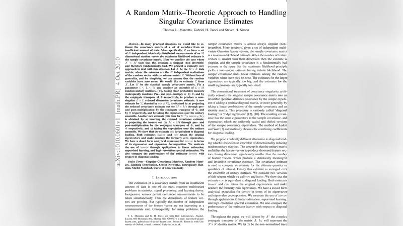 특이 공분산 추정의 새로운 랜덤 행렬 접근법