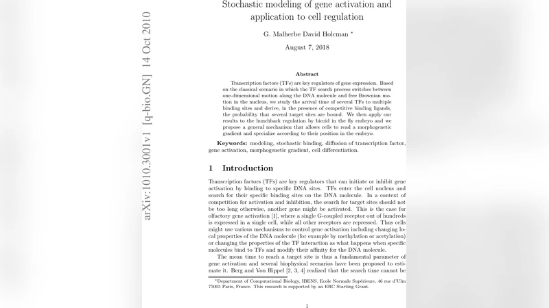 유전자 활성화의 확률적 모델링과 세포 조절 적용