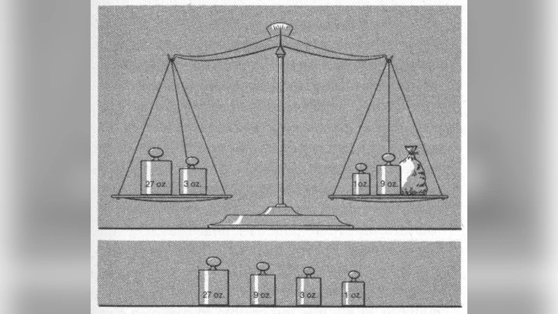 바셋 문제 최소 무게 조합