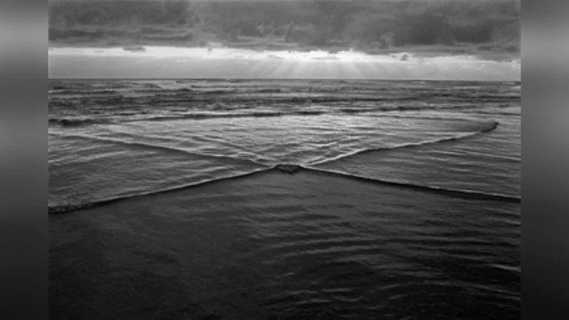 일반화된 카도포프 페트비셔비 방정식의 폭발과 안정성 수치 연구