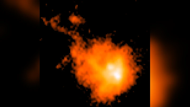 고질량 별 형성 영역의 화학적 구분과 분자 분포 연구