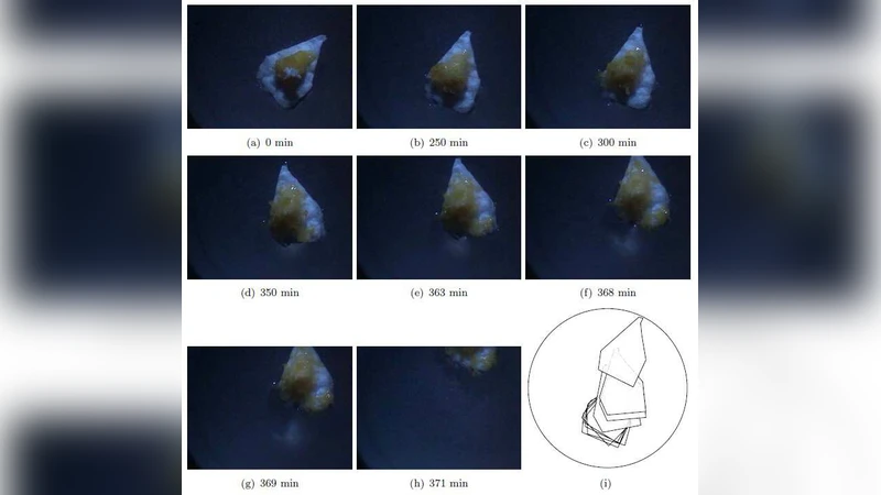 플라스모듐 보트 물 위를 떠다니는 살아있는 로봇