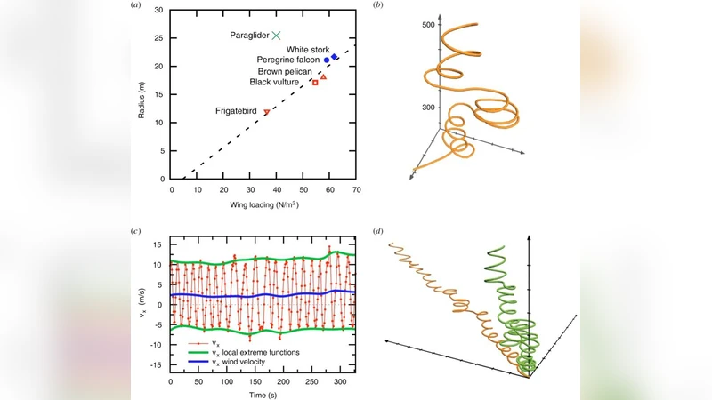 열기 상승을 이용한 새와 드론의 열비행 전략