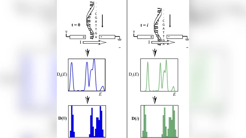 양자 터널링과 머신러닝을 이용한 DNA 고속 서열 분석