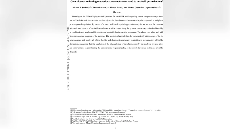 염색체 매크로도메인과 핵양성 단백질이 만든 유전자 클러스터의 조화