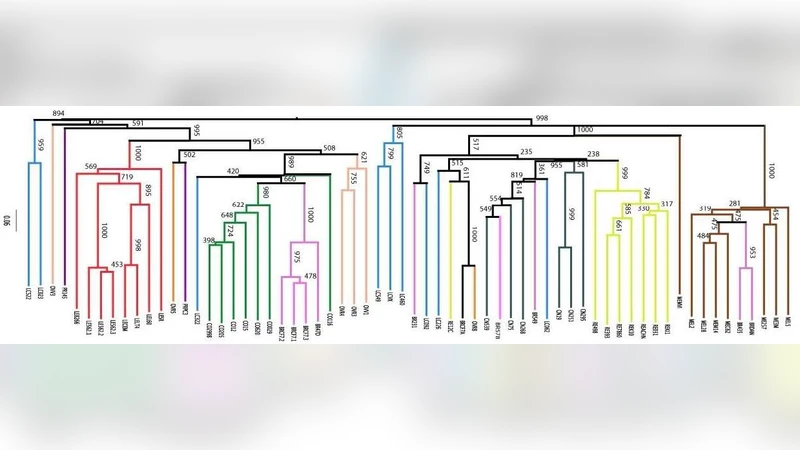진화계통수에서 잔차 재표본추출 확장 결과