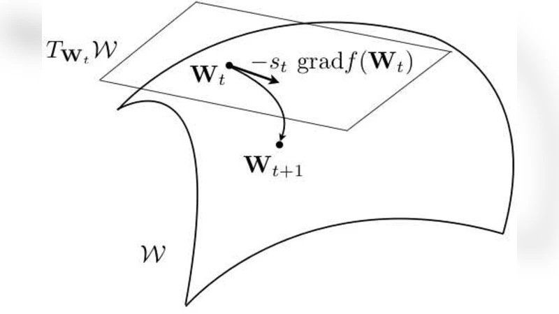 고정계수 양의 반정밀도 행렬 회귀의 리만 기하학적 접근