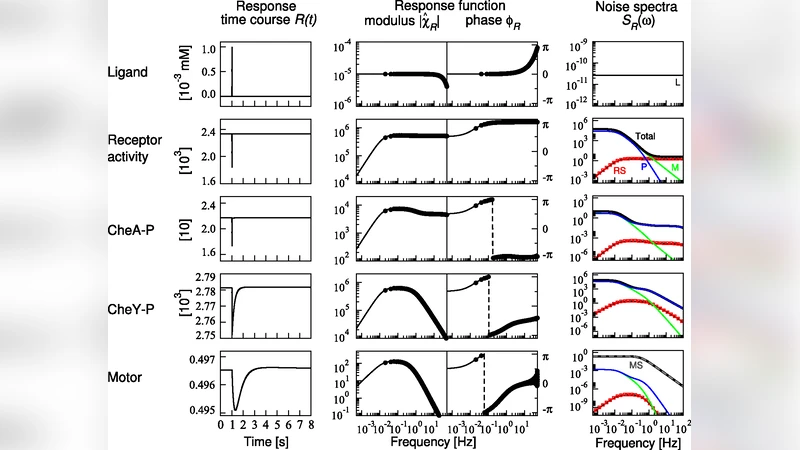 대장균 회전 모터의 잡음 특성 분석