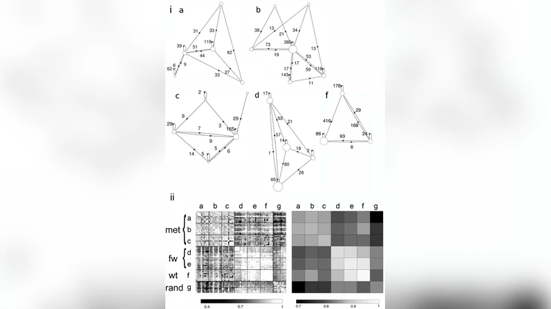 역할 유사성을 기반으로 한 방향 네트워크 비교