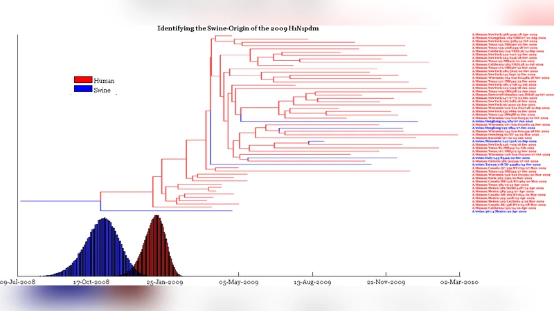 팬데믹 바이러스 기원의 비밀을 풀다