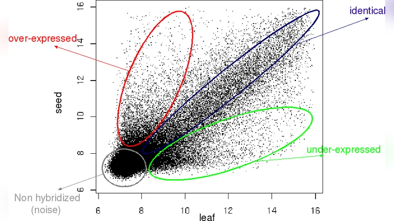 틸링 어레이 무감독 분류와 ChIP칩 전사체 연구