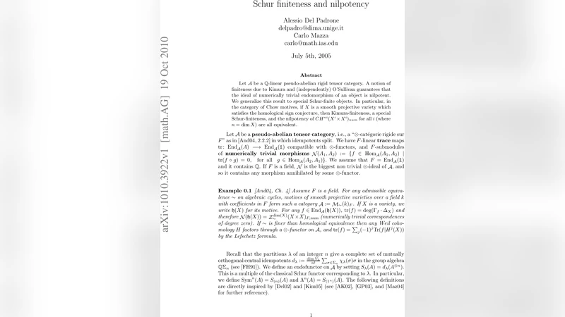 슈어 유한성 및 영원성