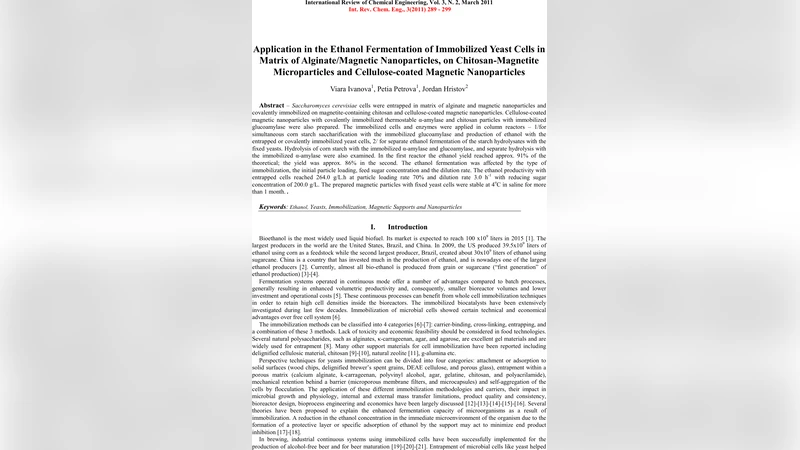 자성 나노입자와 키토산 셀룰로오스 기반 효소 효모 고정화로 에탄올 생산 효율 극대화