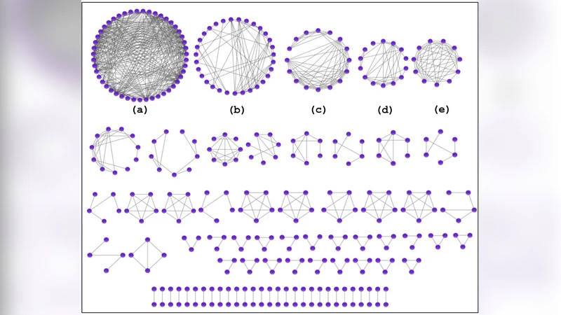 인간 마이크로RNA 공동표적 네트워크의 모듈 구조
