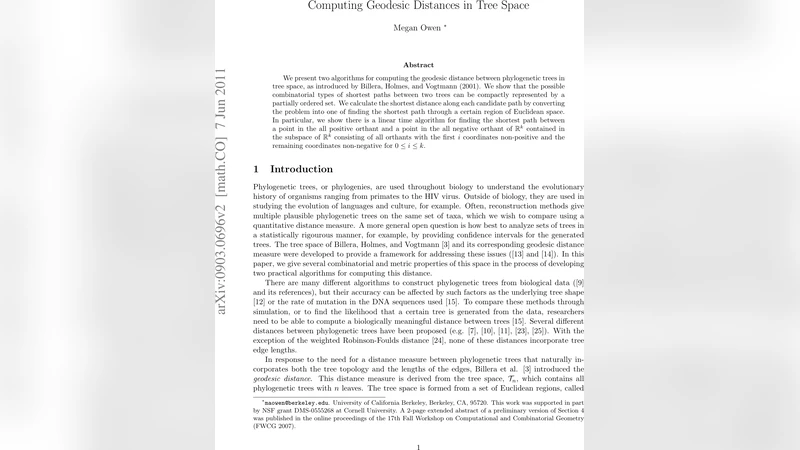 트리 공간에서의 최단 거리 계산: 효율적인 알고리즘과 조합론적 접근