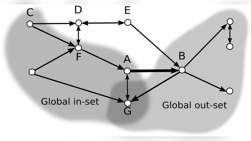 신호 흐름의 구조와 기능 분석