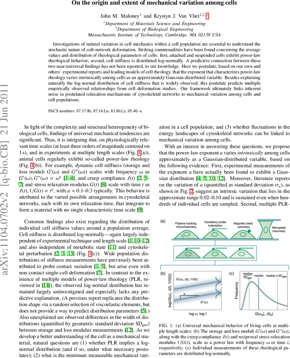 세포 기계적 변이의 근원과 분포에 대한 새로운 통합 모델