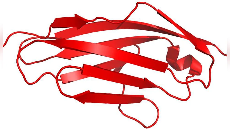 동적 기계 네트워크의 디컨볼루션 이론