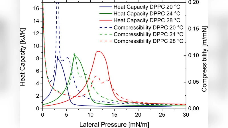 Monte Carlo 기반 지질 단일층 시뮬레이션 방법 및 지질 이동 포함