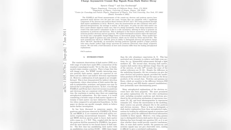 암흑물질 붕괴에서 나타나는 전하 비대칭 신호