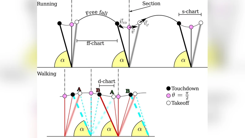 패시브 다리 역학을 활용한 보행 전이와 부분 안정성 연구