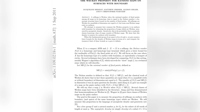 표면 경계에서 무작위 지도들의 위켄 성질