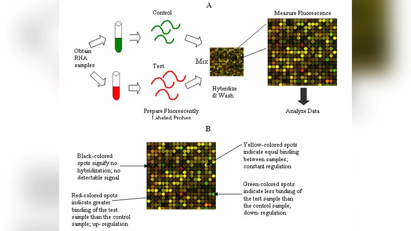 유전자 발현 기반 암 분류를 위한 특징 선택과 SVM 활용 리뷰