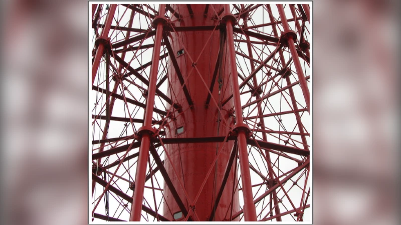 우주는 알고리즘이거나 무작위다