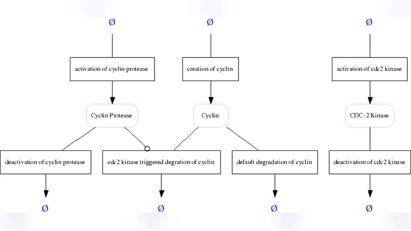 BioPAX와 SBML: 복잡한 생물학 지식 표준의 핵심 비교
