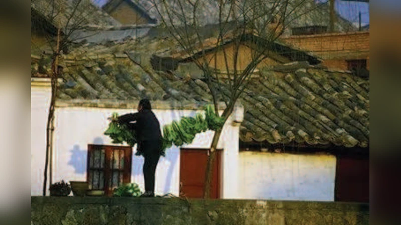 태그가 달린 문서와 이미지의 고차원 마코프 토픽 모델