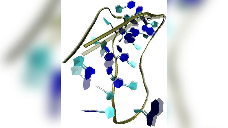 시토신 풍부 DNA 헤어핀 전개 메커니즘의 숨은 복잡성
