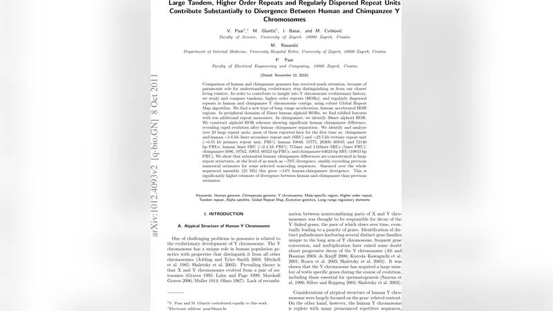인간과 침팬지 Y염색체 대형 반복 서열의 급격한 진화와 새로운 반복 단위 발견