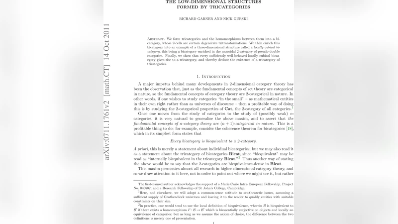 삼차범주와 로컬 큐빅 이중범주의 구조적 연결