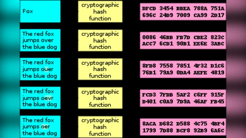 해시 경로 여행 판매원 문제와 NP 난이도
