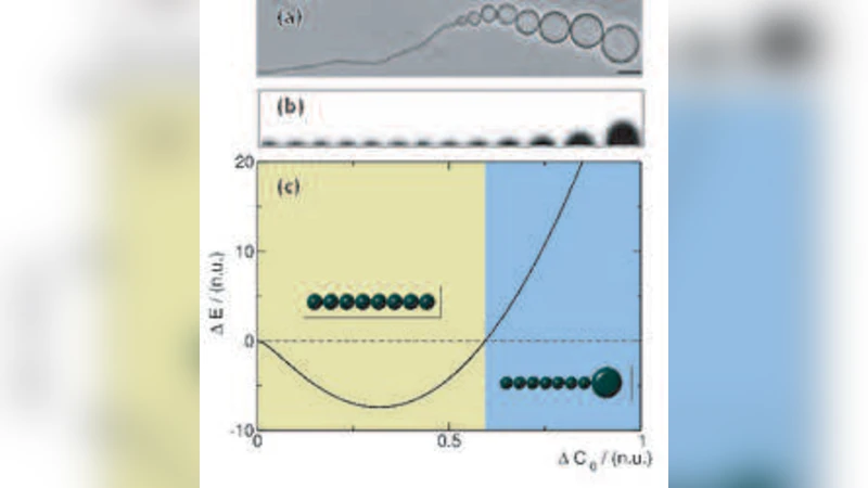 곡률 구동 펄링 불안정 모델