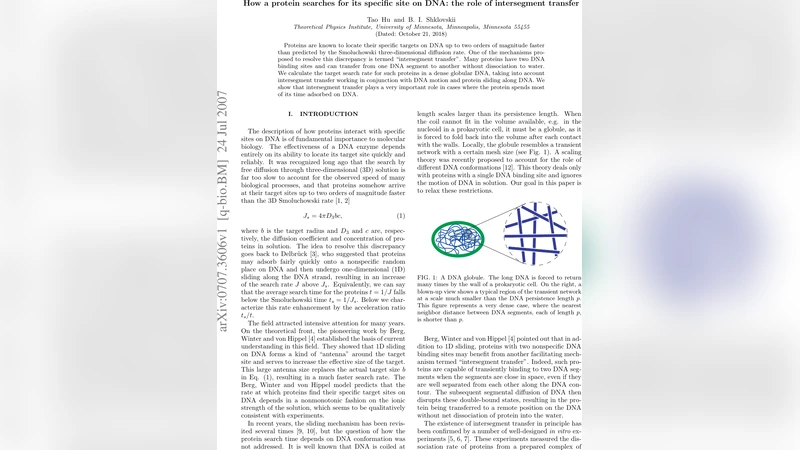 DNA 탐색의 비밀: 인터세그먼트 전이가 단백질 목표 찾기에 미치는 영향
