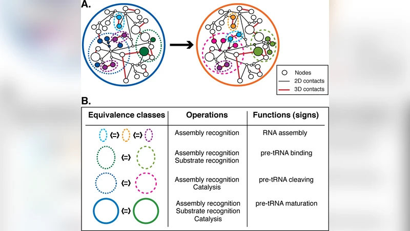 정보 제어를 통한 상향식 인과: 생명 시스템의 새로운 패러다임