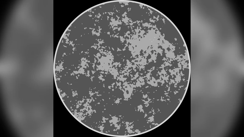 마이크로칼슘화 검출을 위한 TV 기반 유방 CT 재구성 수렴 보장 방법