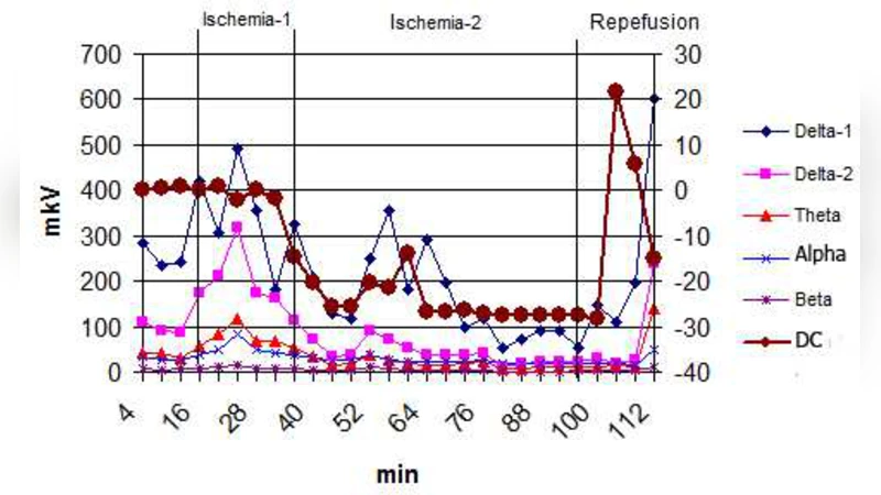 동기와 감정 주의의 편극 이론