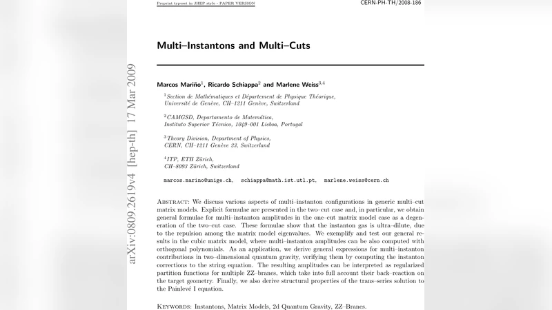 다중 인스턴톤과 다중 컷 매트릭스 모델 연구