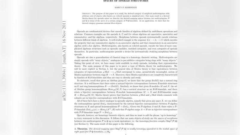 다중군 구조의 공간과 유도 모리타 이론