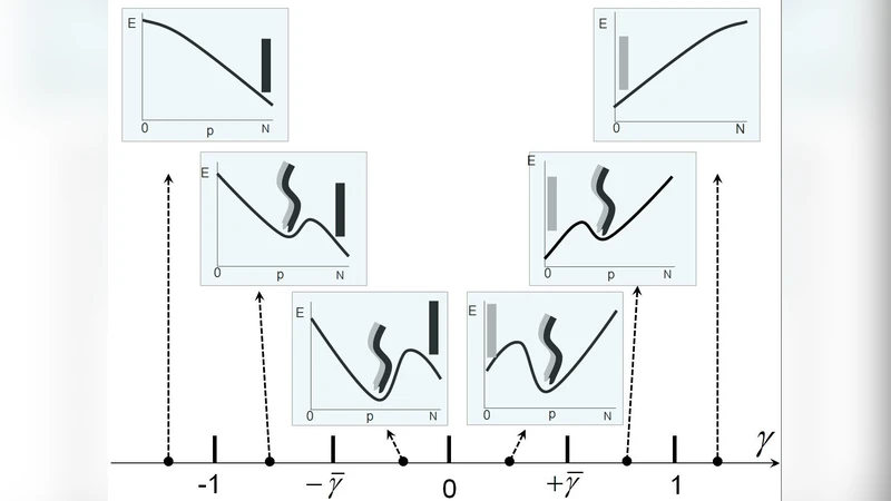 미세소관의 협동 격자역학과 초거대 나선 형성 메커니즘